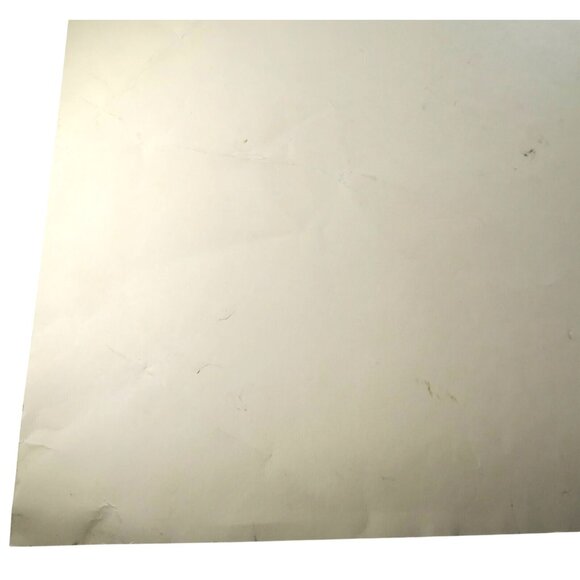 Andrew Bird 2012 San Diego Poster – Stavis Seiberling Art S/N Serigraph 18x24 - Picture 11 of 11